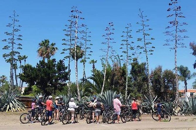 Cali Dreaming Electric Bike Tour of La Jolla and Pacific Beach - Start at the Crosby Center: bikes, helmets, and a fast orientation