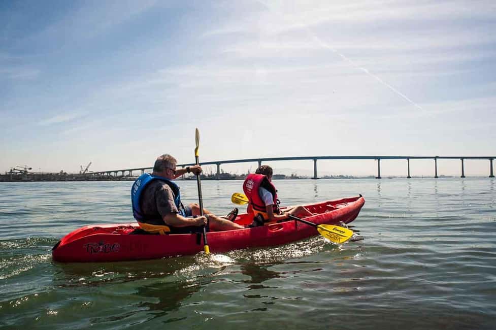 Coronado Guided Kayak Tour 90-Min - Who this Coronado guided kayak tour fits best
