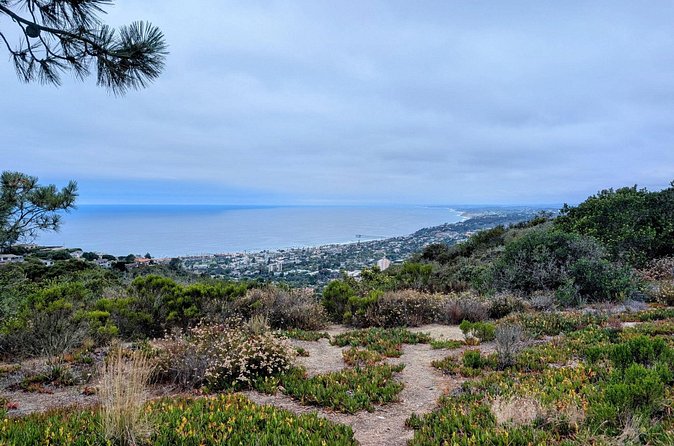 La Jolla Electric Bike Tour - Route Breakdown Part 2: Windansea, Bird Rock Cove, and Crystal Pier
