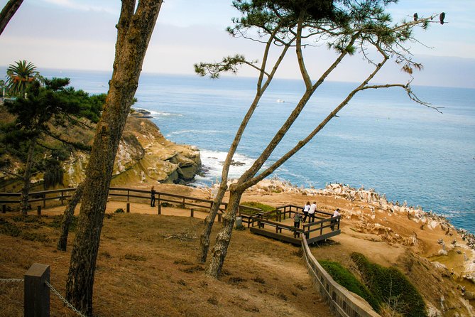 La Jolla Electric Bike Tour - Is $99 Worth It? The Math Behind This E-Bike Tour