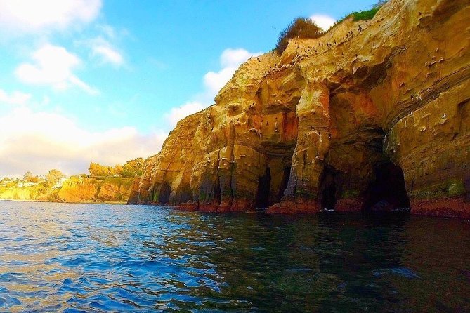 La Jolla Sea Caves Kayak Tour For Two (Tandem Kayak) - Key highlights to look for