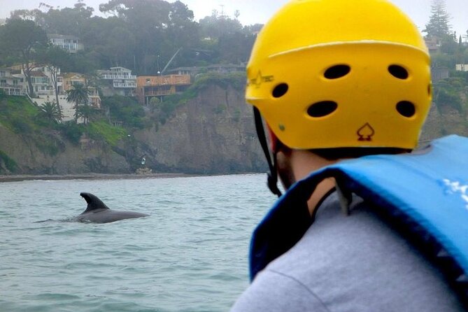 La Jolla Sea Caves Kayak Tour (Single Kayak) - Stop 2: La Jolla Underwater Park from the surface