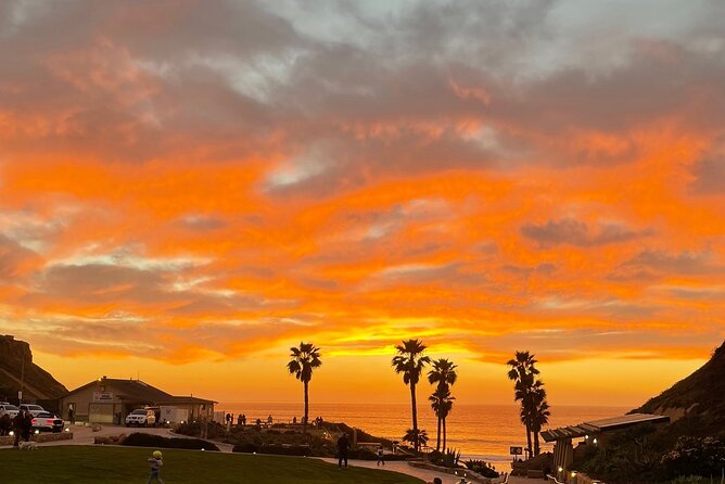 Private Surf Lesson Solana Beach Ride the Waves Fletcher Cove 2hr - Price and value: what $110 per person buys you