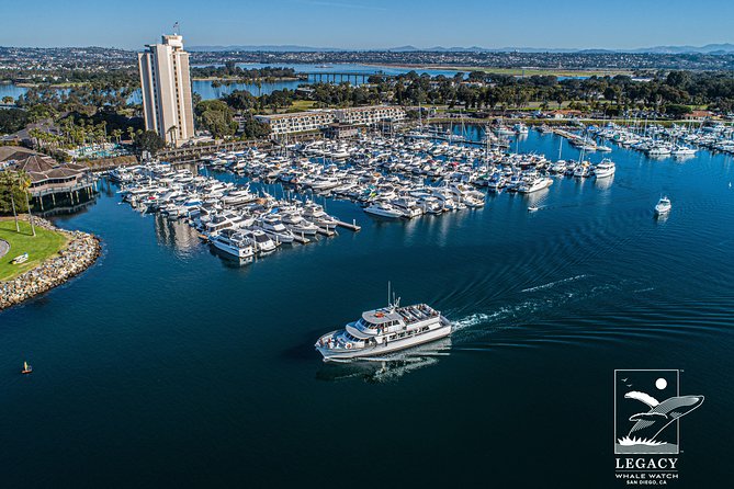 San Diego: 3 Hour Whale Watching Cruise - From 1717 Quivira Rd: The Dock-to-Ocean Reality Check
