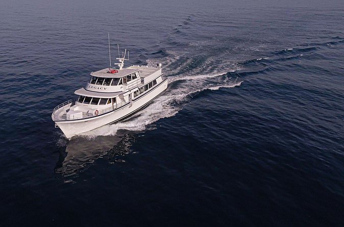 San Diego: 3 Hour Whale Watching Cruise - The Onboard Amenities: Restroom, Small Group Feel, and Expectations