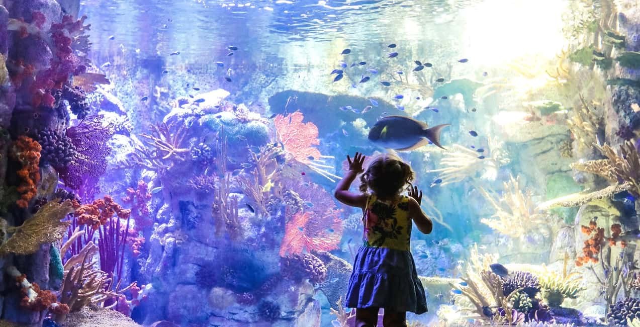San Diego Pass: Save up to 50% - Includes LEGOLAND - Planning a smart day: LEGOLAND California first