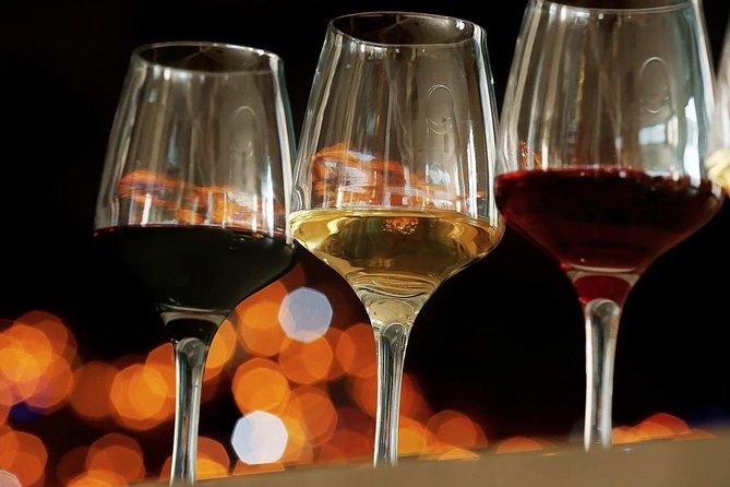 Temecula Wine Country Tour from San Diego - Behind-the-scenes winemaking: the best part for curious wine fans