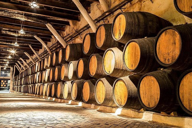 Temecula Wine Country Tour from San Diego - Who this Temecula wine tour suits best