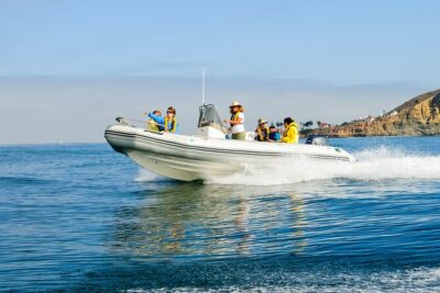 Whale and Dolphin Watching in San Diego - Safety and comfort you don’t have to guess about